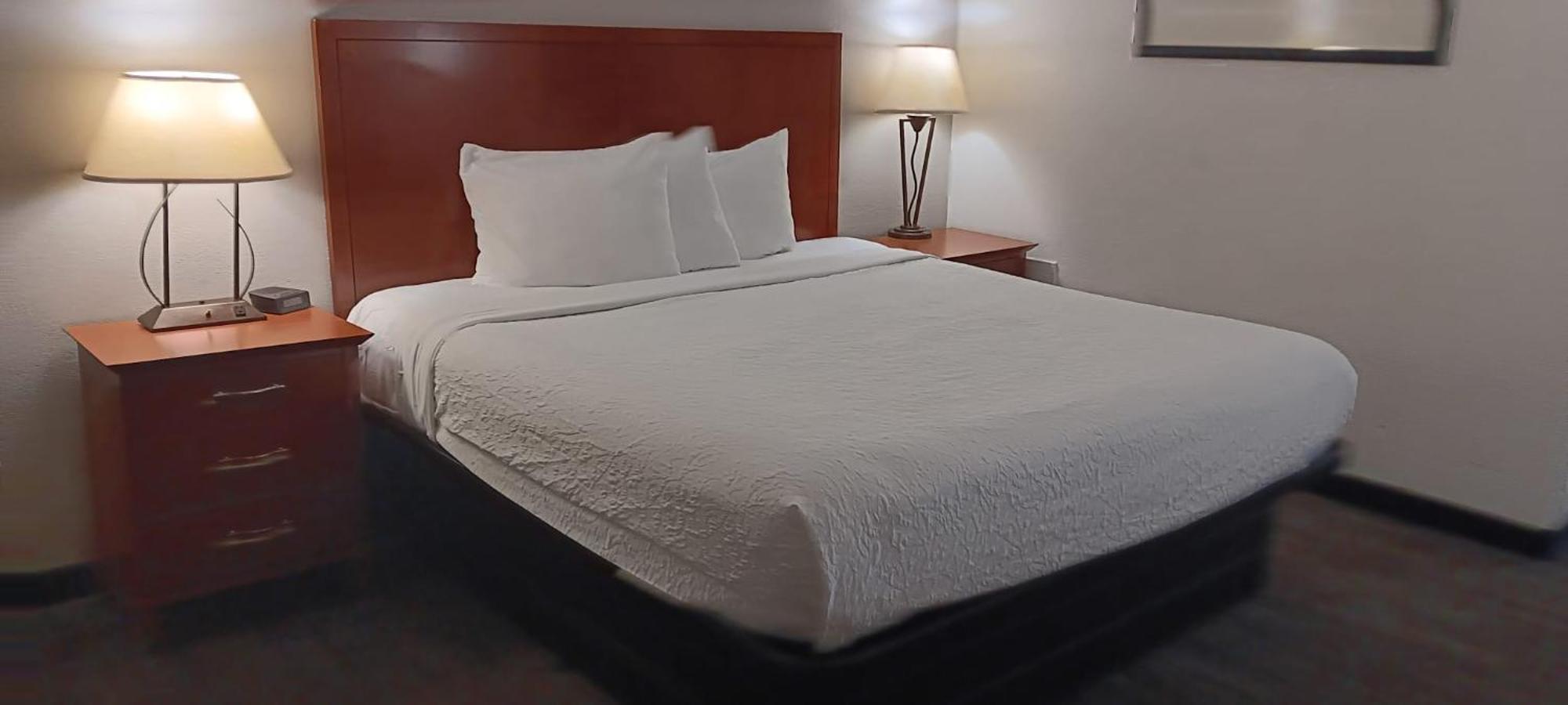 Quality Inn St Paul-Minneapolis-Midway Saint Paul Exteriör bild